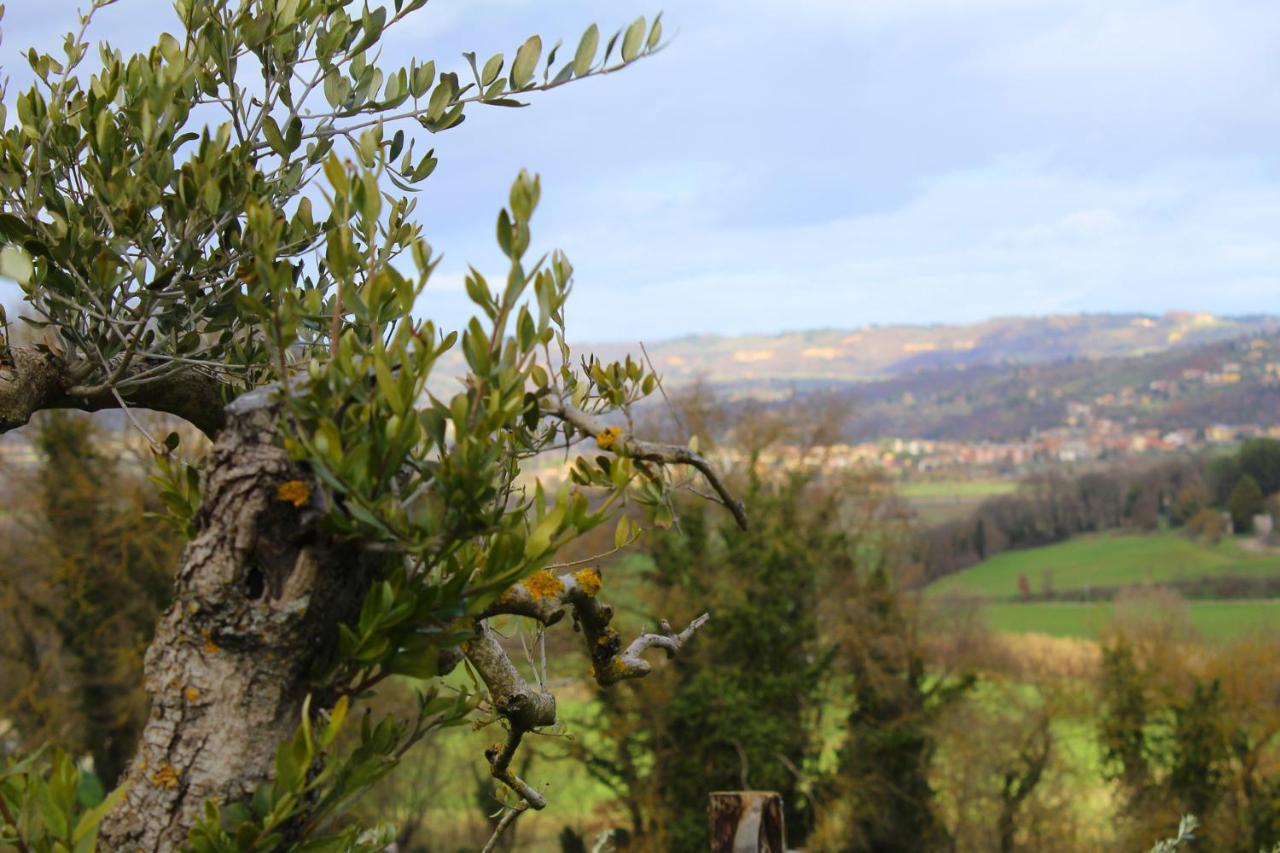 Casale Il Ventaglio Bed and Breakfast Ficulle Buitenkant foto